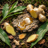 Ginger Root Oil